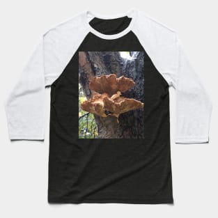 Bracket Fungus Baseball T-Shirt